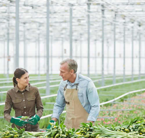 Trabajadores agricolas dependientes